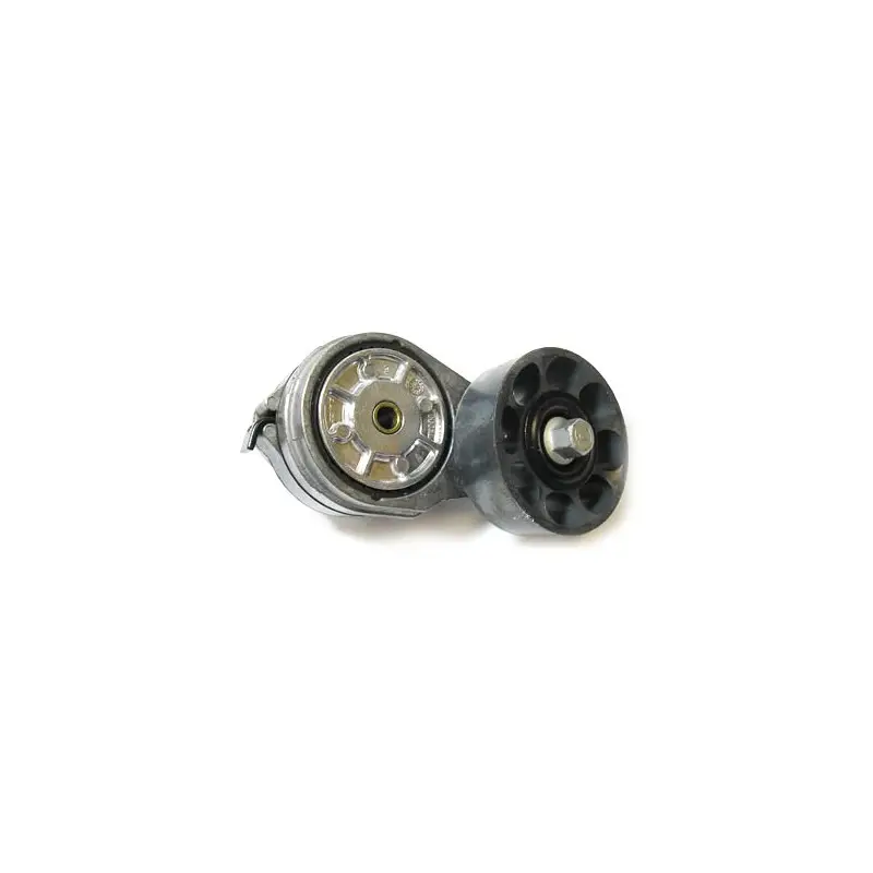 Livraison Express Galet tendeur OEM courroie alternateur pour Defender, Discovery, et Range Rover Classic300 TDI