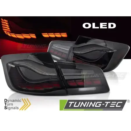 Nouvelle Collection Feux Arrière OLED SEQ Smoke BMW F10 10-16